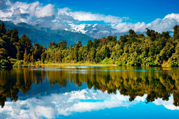 Lago bosque y montañas En nueva Zelanda