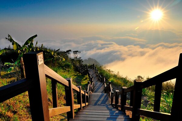 Stairs leading to the pond, illuminated by the sun through the morning fog