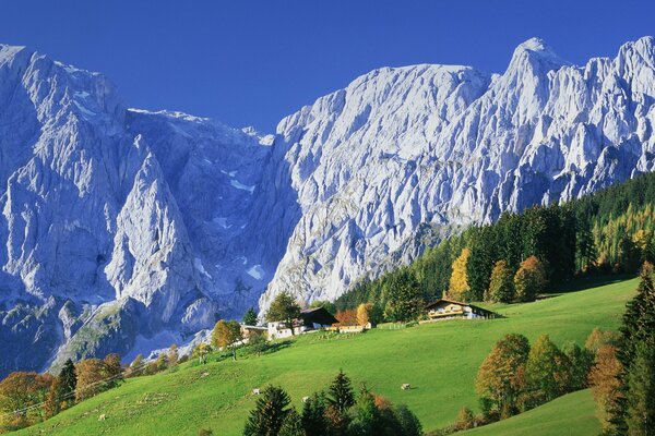 Berge Häuser Bäume Wald Natur