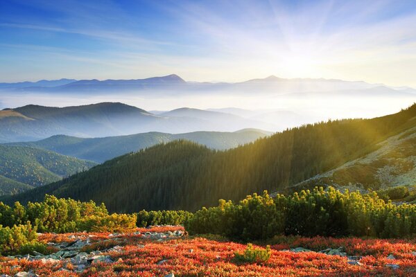 Sunrise in the mountains nature