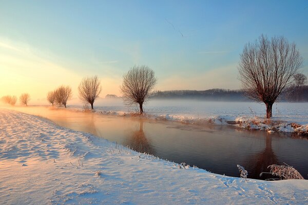 Wintermorgen am Fluss