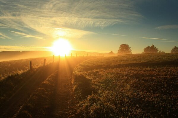 Route sur fond de soleil du matin