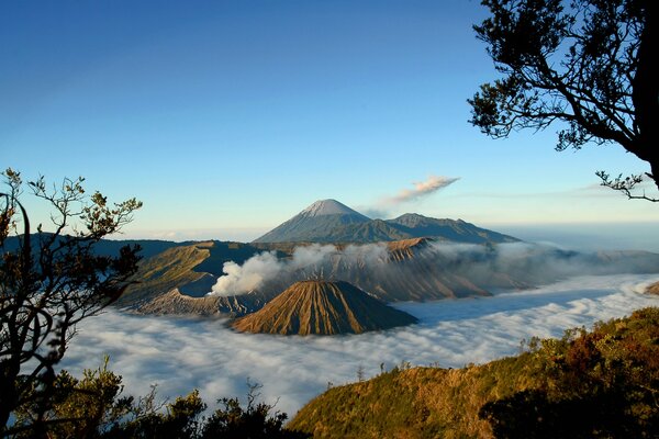 Volcán de montaña en la niebla con árboles