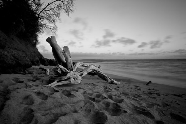 Foto in bianco e nero della spiaggia