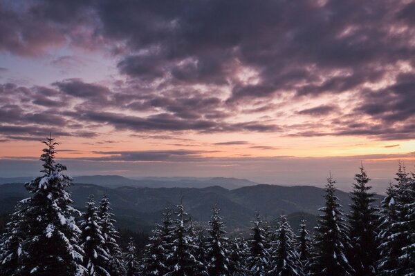 Winter landscape against the sky