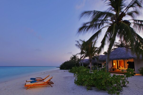 A house under palm trees on the seashore