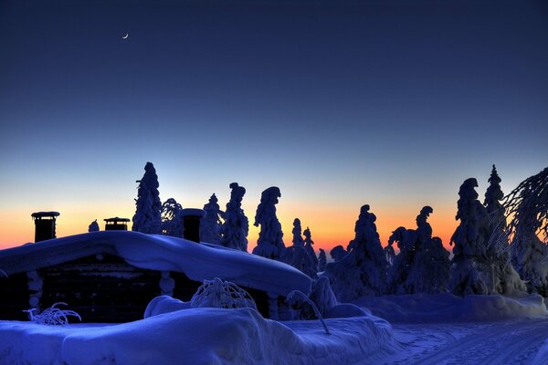 Hiver glacial dans les tons bleus