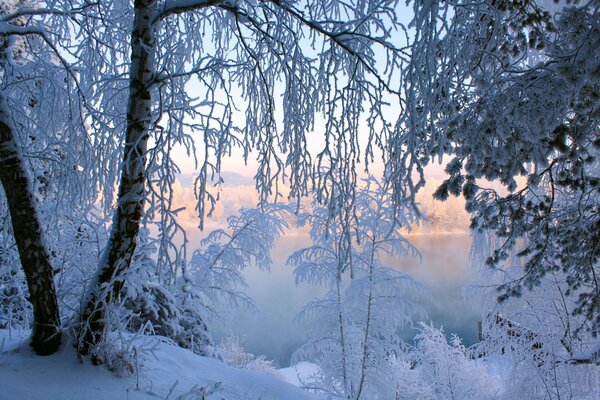 Ein eisiger See und Bäume im Frost