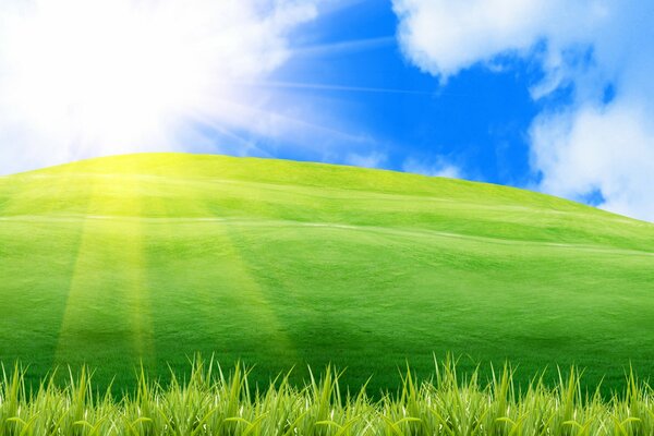 Paisaje positivo de hierba verde y cielo azul