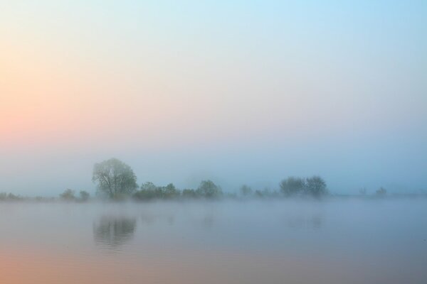 Niebla sobre el río por la mañana. Árboles en el horizonte