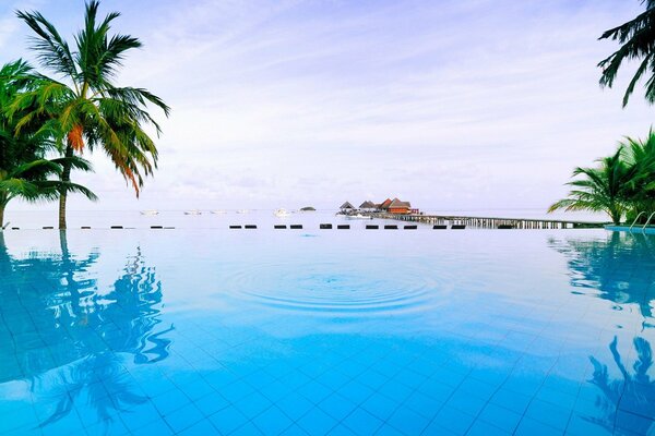 Stazione termale. Piscina. Palme. Vacanze