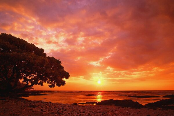 Sunset clouds over the seashore