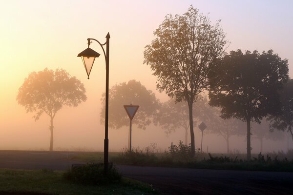 Nebel am frühen Morgen auf der Straße