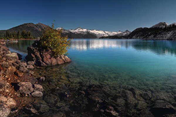 Pendio. Laghi vicino agli alberi di ikamnei