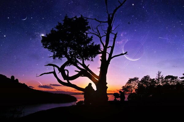 Vista del telescopio del árbol al atardecer