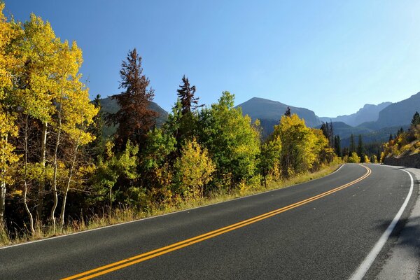 Strada infinita in autunno vicino alla foresta