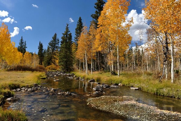 Paysage d automne avec rivière et arbres