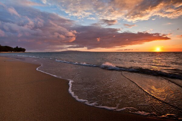 Sea beach under the setting sun