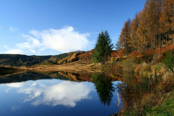 The play of autumn colors on trees