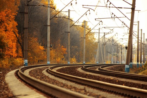 Landscape of the railway track in autumn