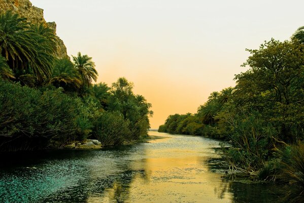 Palmeras gruesas y verdes junto a un río en Grecia