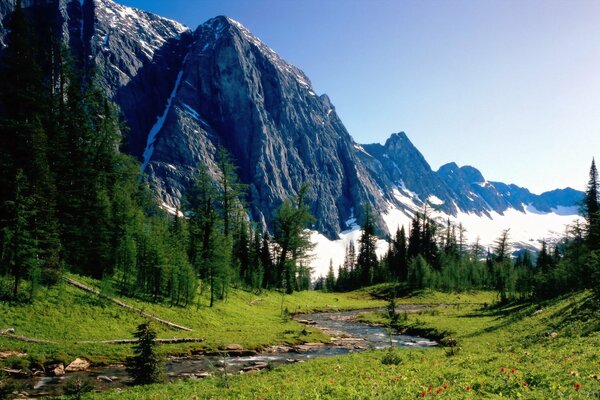 Las montañas y los árboles se ven hermosos junto al río