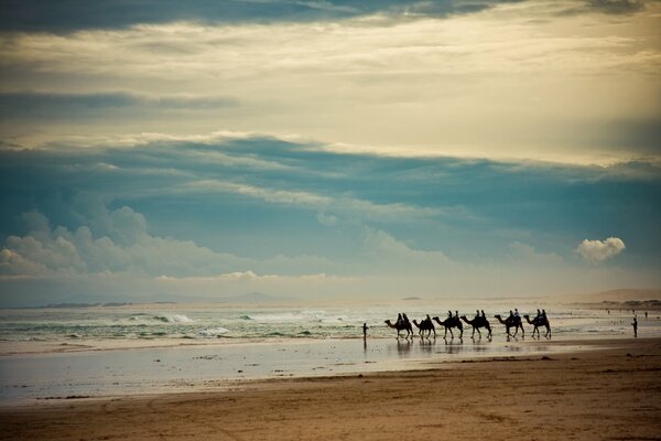 Paisaje mar olas camellos