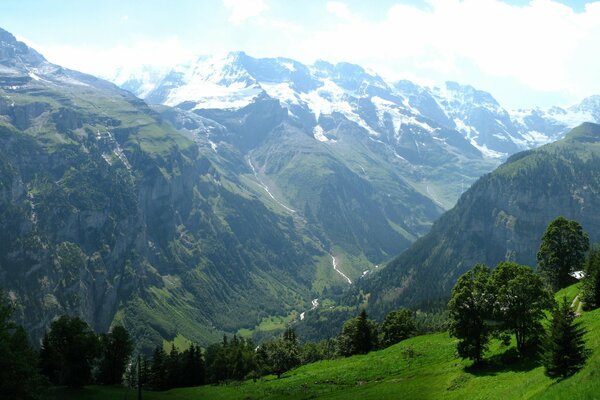 Increíble paisaje en verano en las montañas