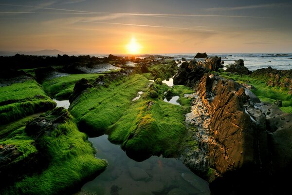 Rocas verdes de pie en el mar transparente en el fondo de la puesta de sol