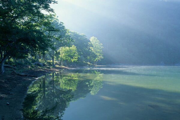 Nature is reflected in the surface of the lake