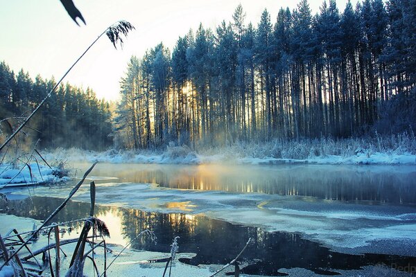 Paysage avec une belle rivière en hiver