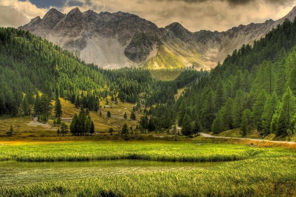 Nature landscape with mountains and green grass