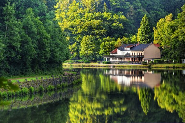 Mirror image of the river 