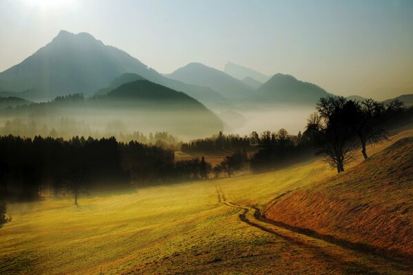 Colline e montagne sullo sfondo di una radura nebbiosa