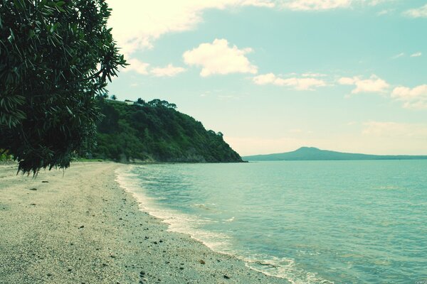 Sandy beach on the seashore