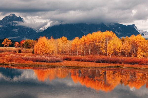 El bosque dorado sobre el lago