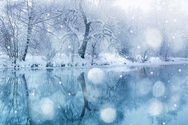 Chutes de neige sur le lac avec des arbres enneigés