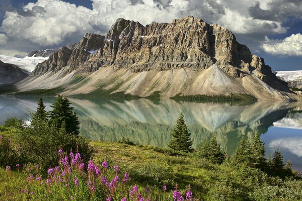 We see fields on a rock growing out of the lake