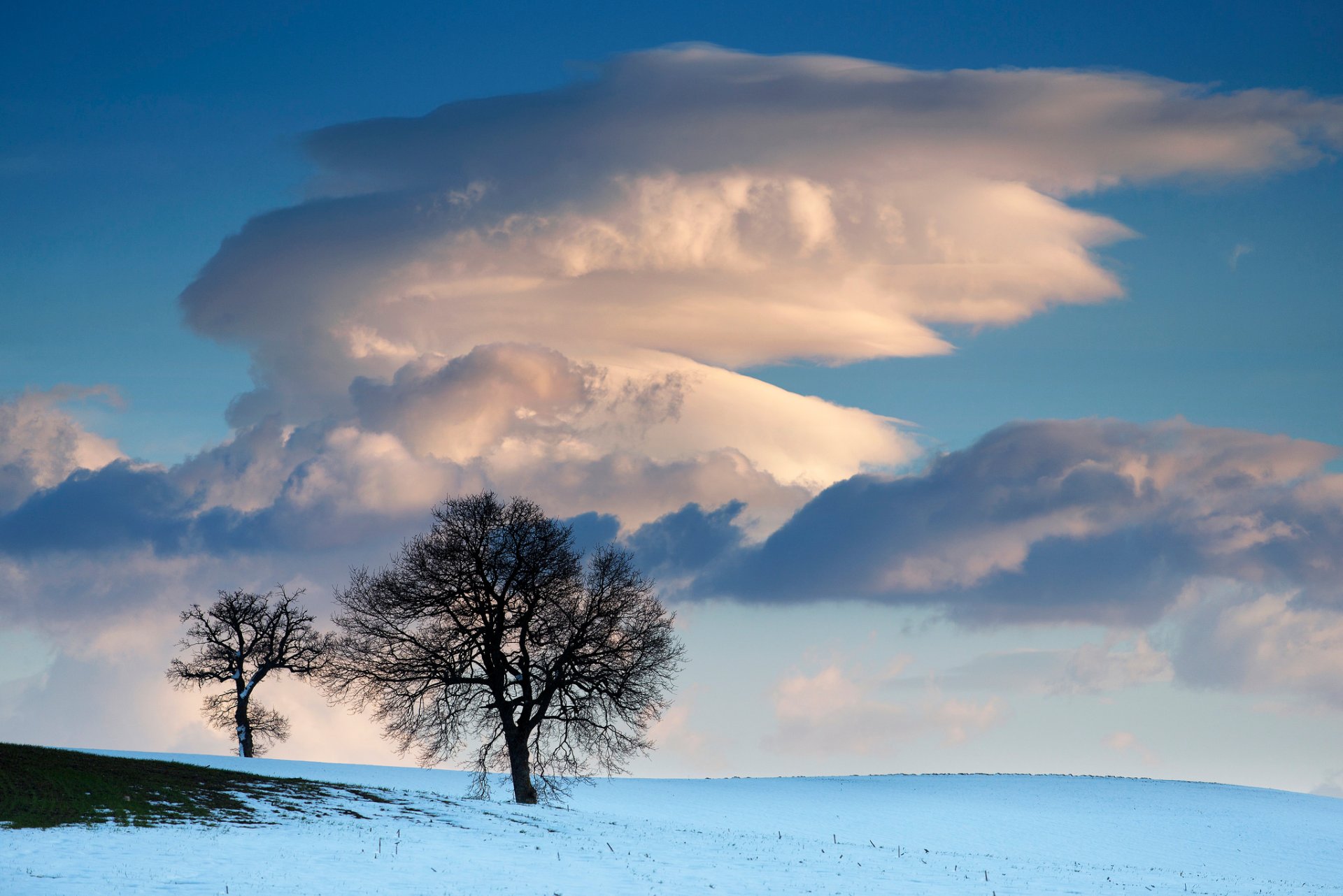 ciel nuages hiver champ neige arbres