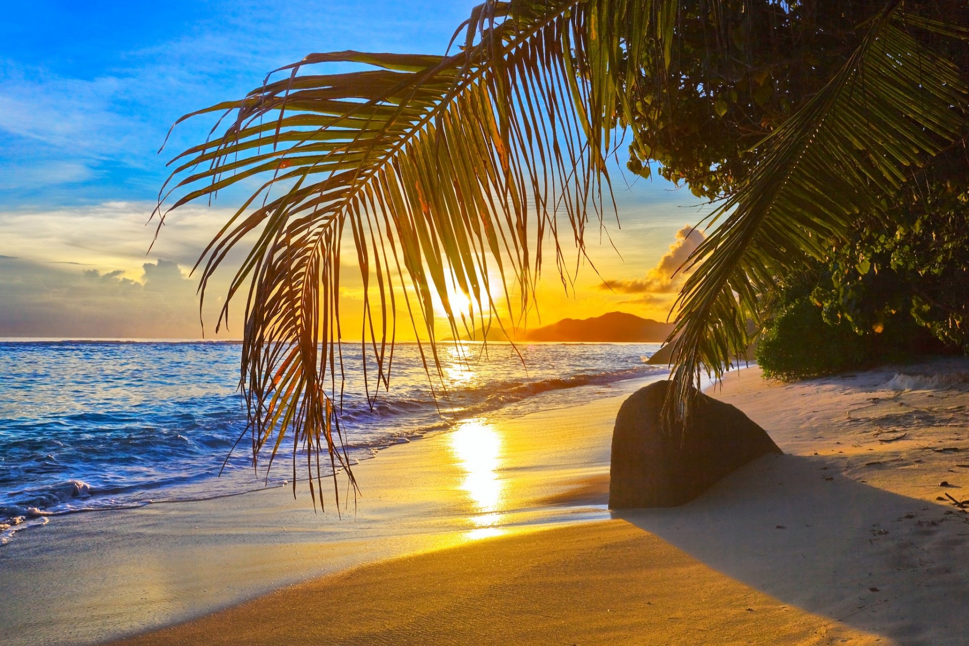 beach sand stone palm ocean sun cloud