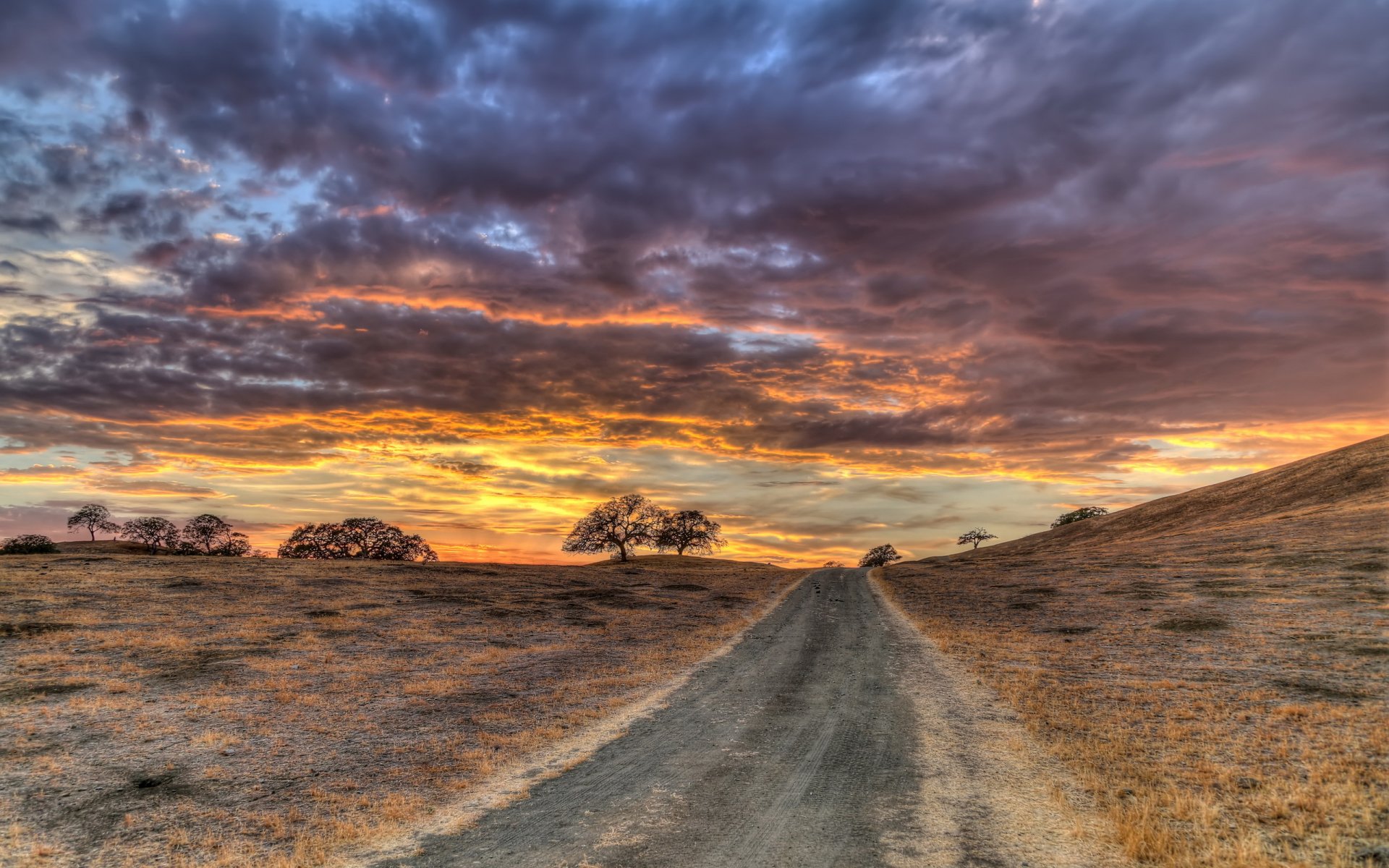 champ ciel route paysage