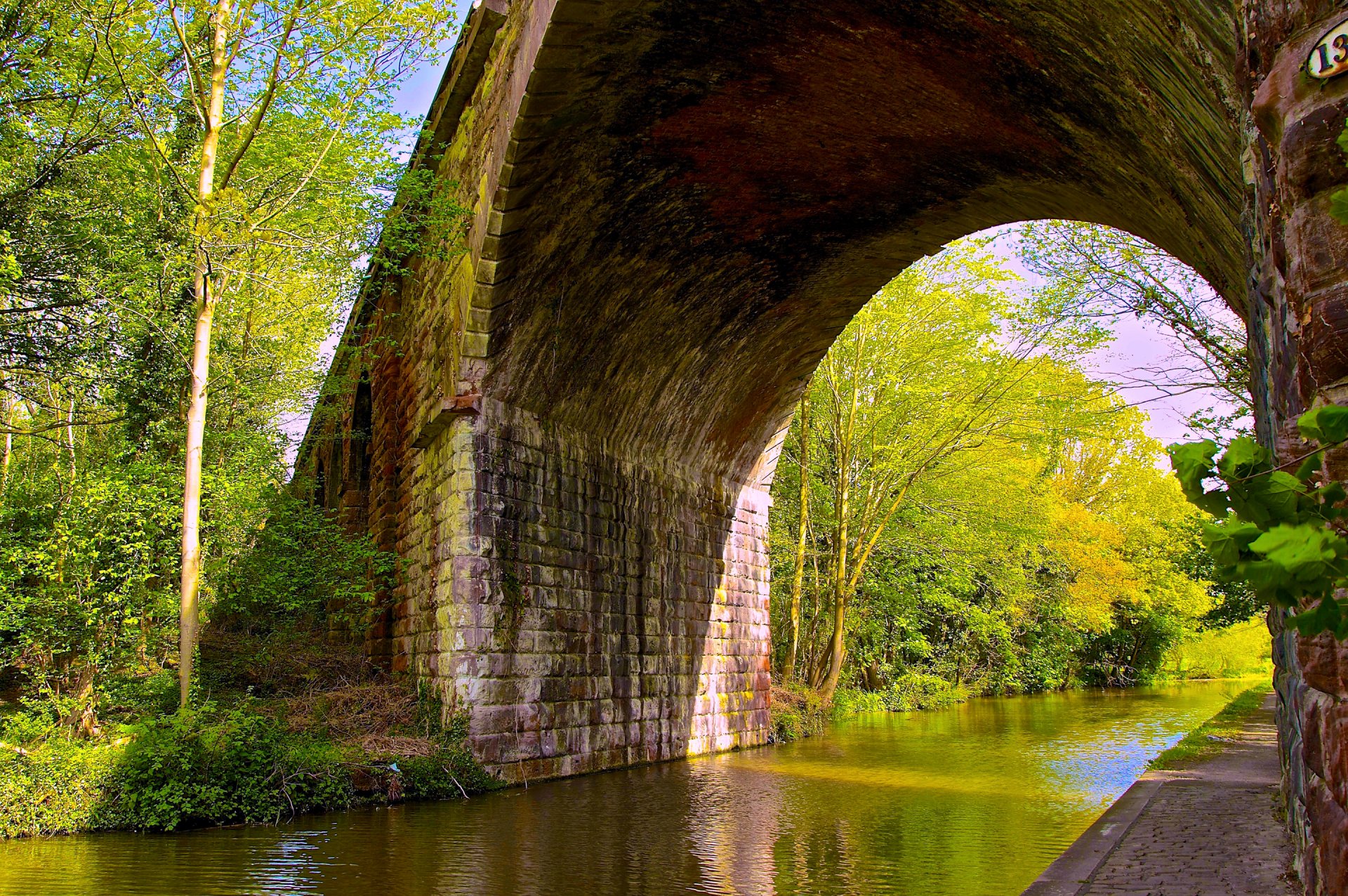 fluss brücke bogen bäume