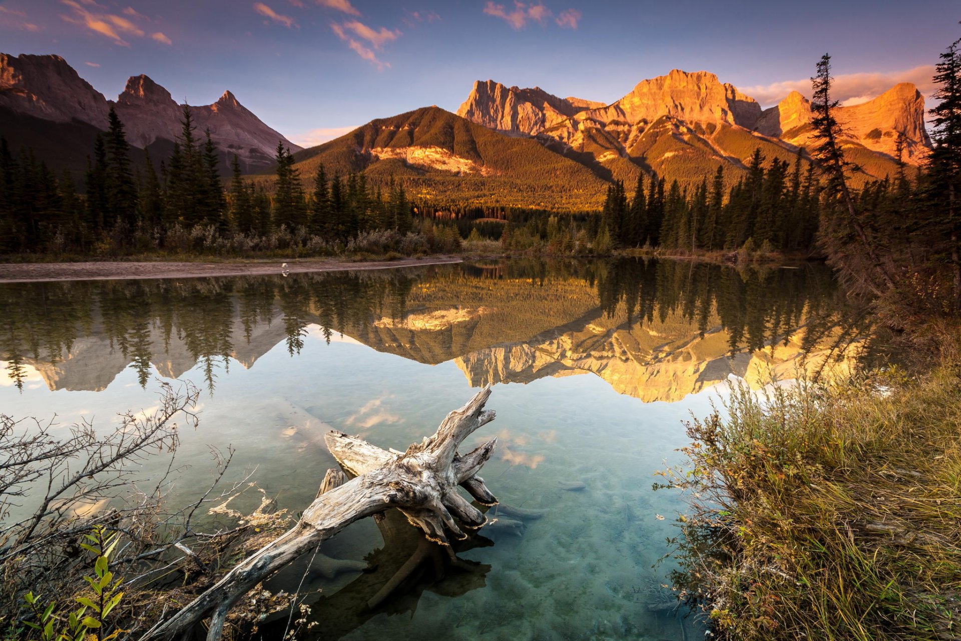 montagnes lac arbres réflexion forêt