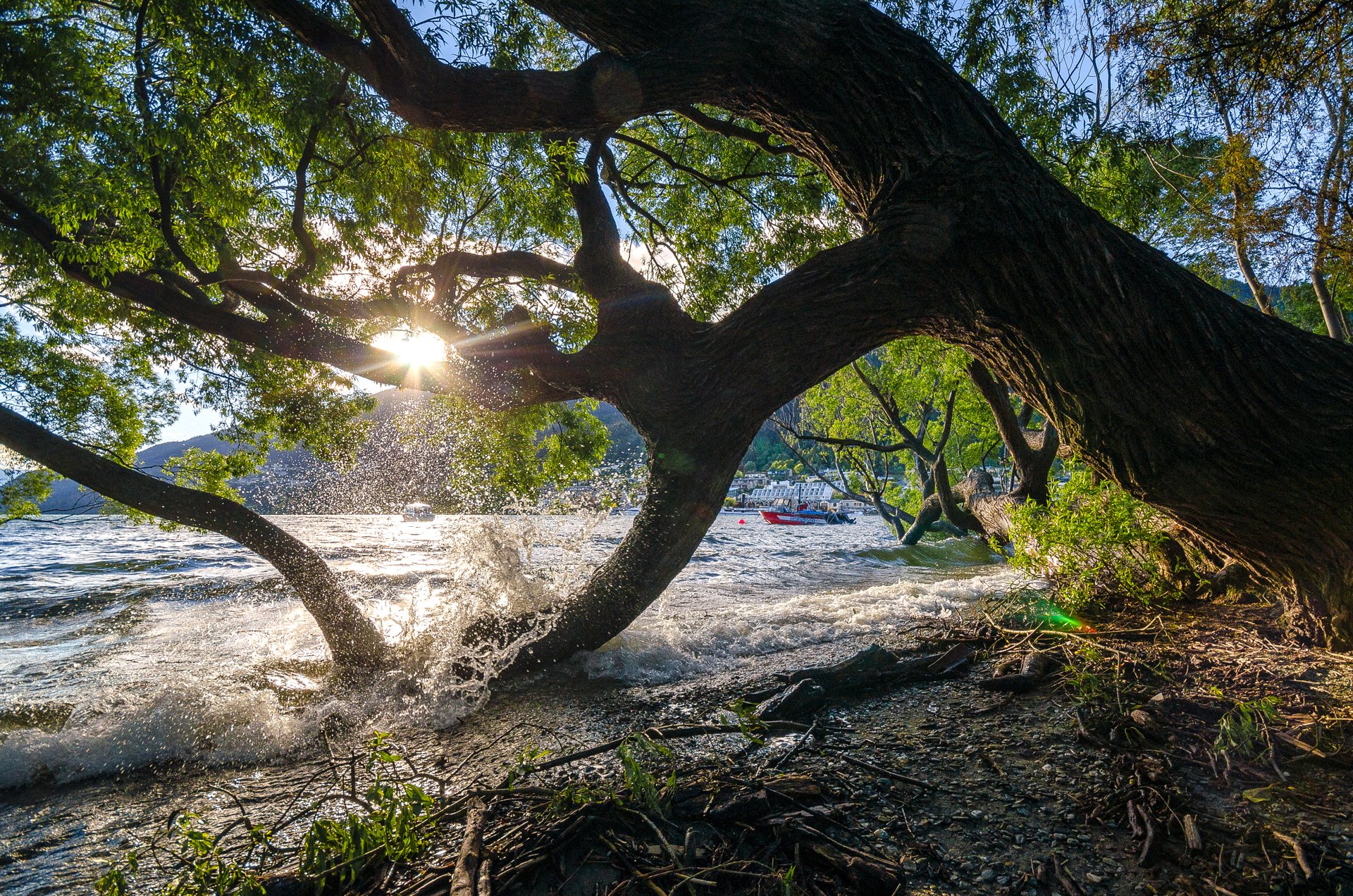 nuova zelanda albero acqua lago cielo montagne barca tramonto