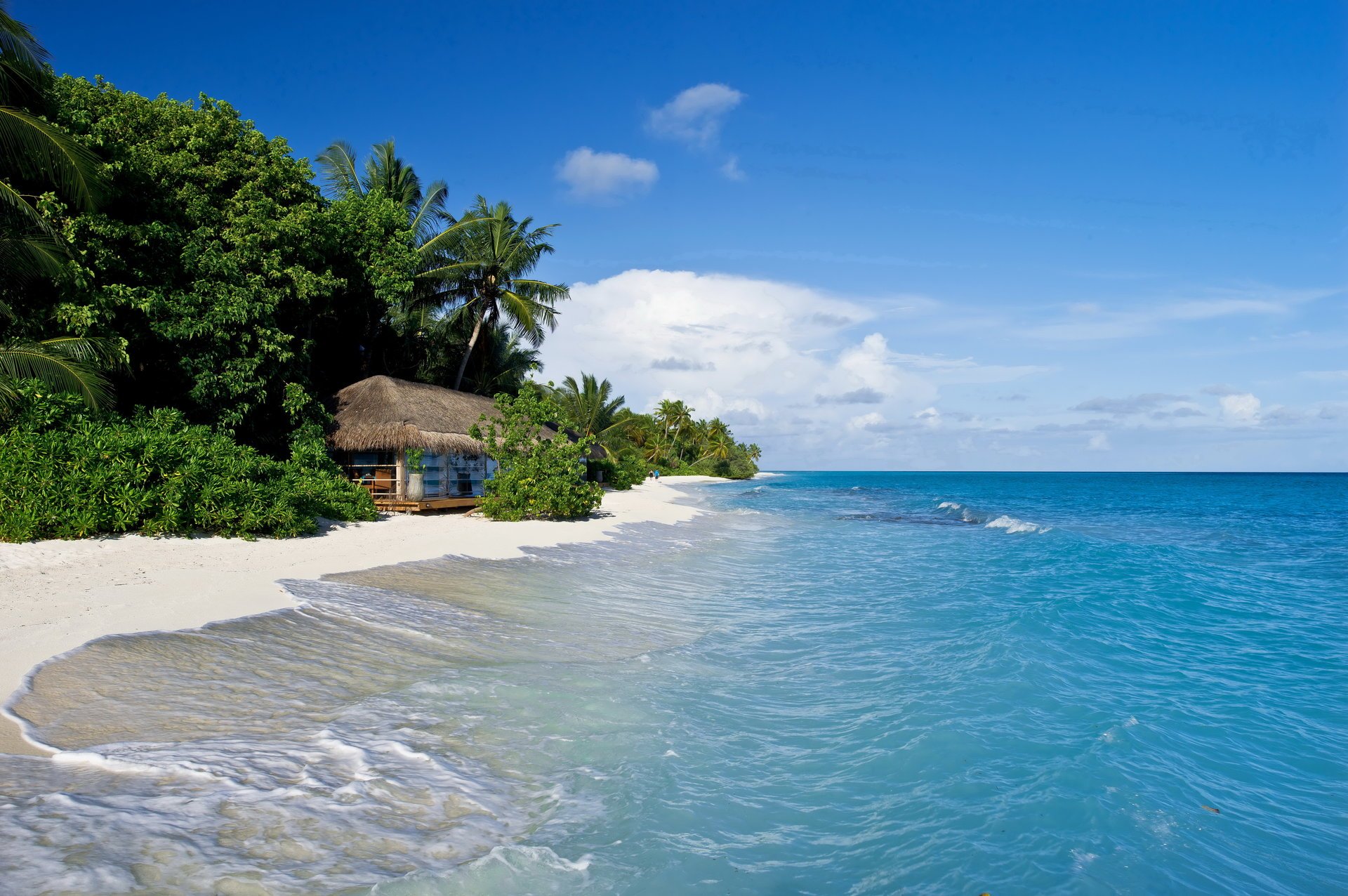 kuramati maldives tropiques mer côte sable palmiers cabane