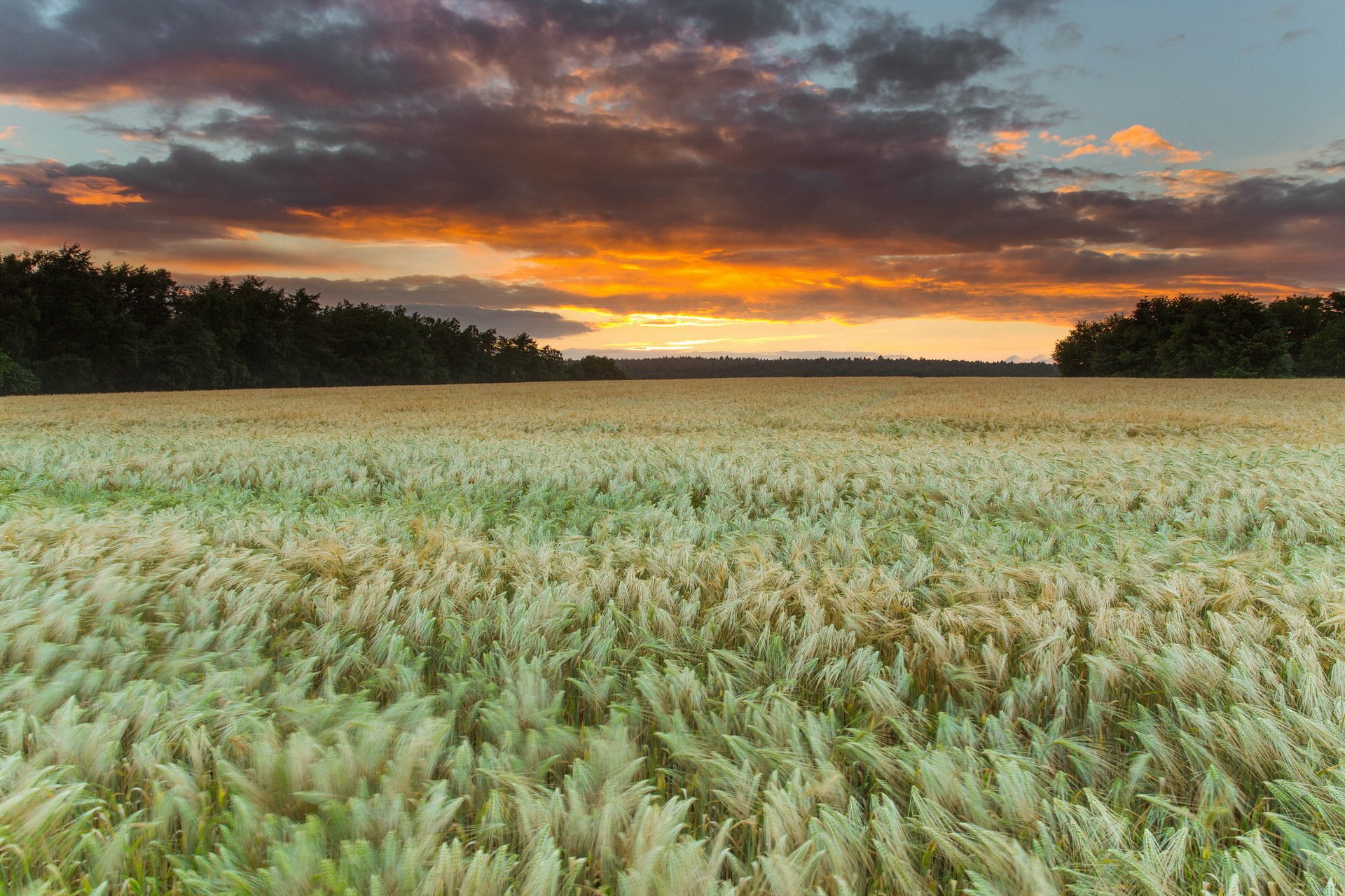 zachód słońca pole natura krajobraz