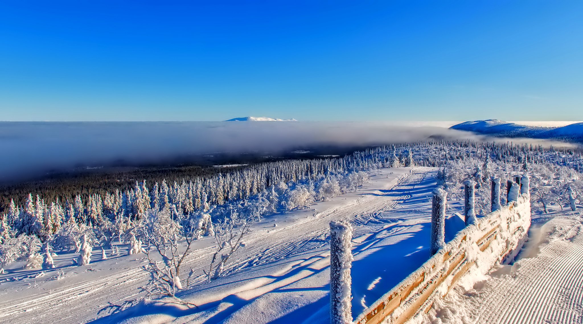 ky mountain horizon winter clouds tree forest snow fence