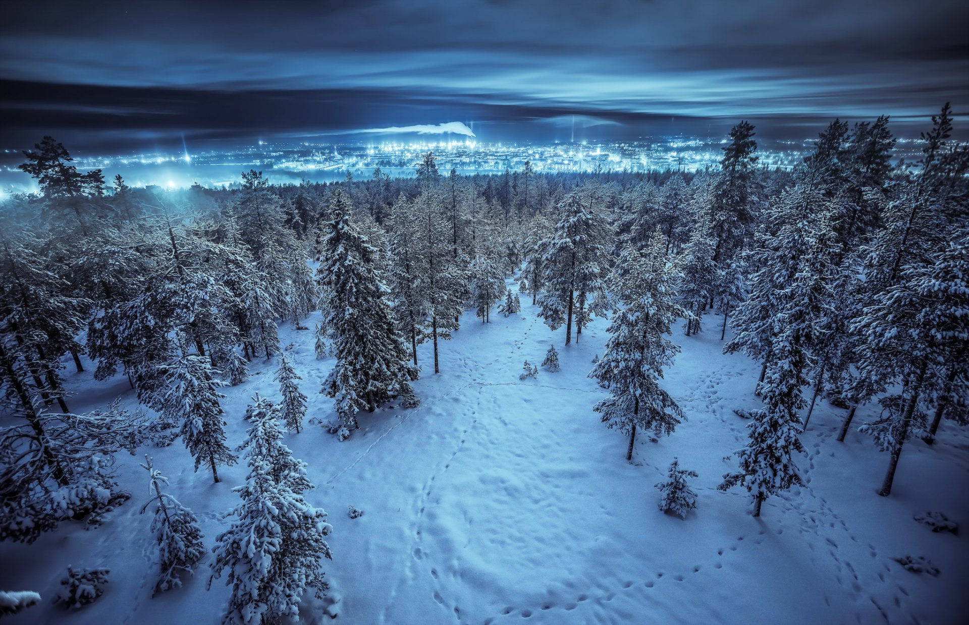 noche invierno bosque ciudad