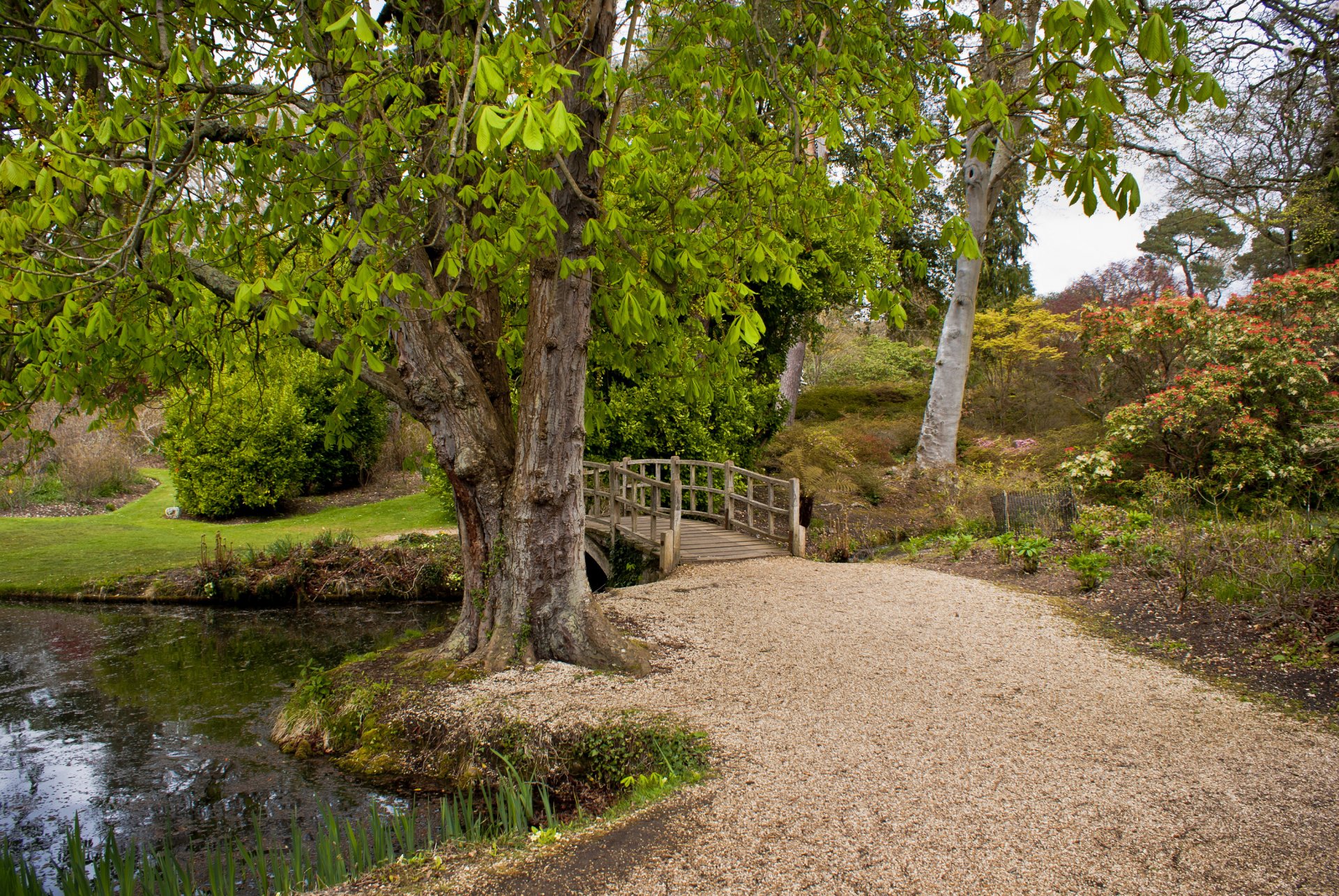 england bridge river exbury nature