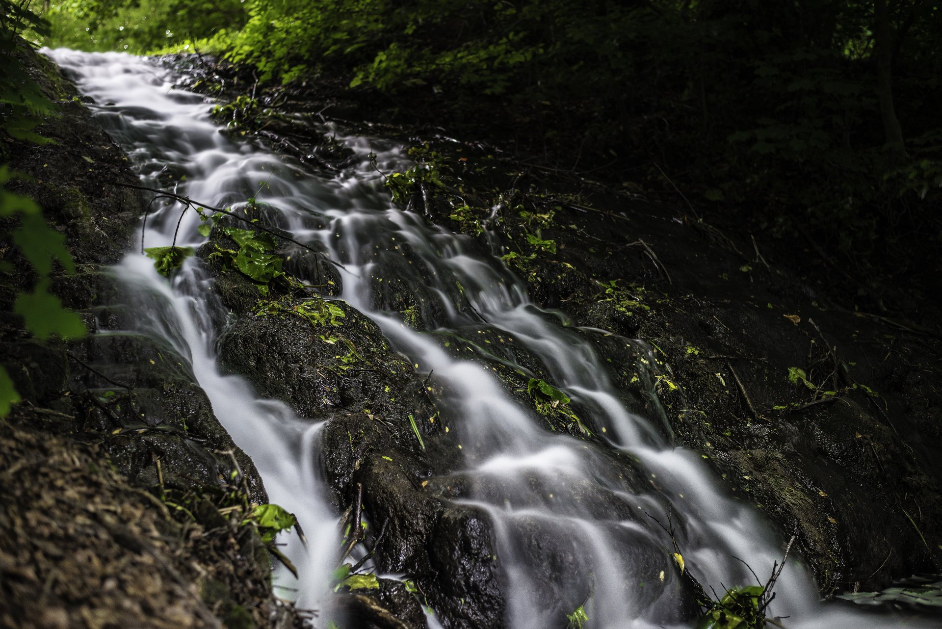 ruscello acqua ruscello spruzzo fili d erba volantini